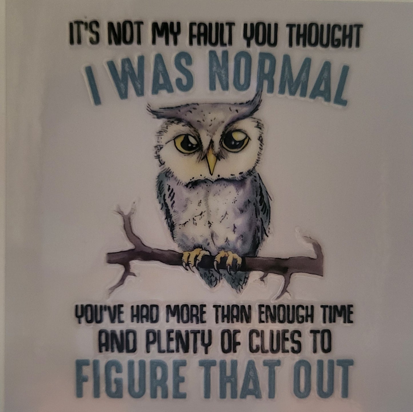 Its not my fault you thought...decal small