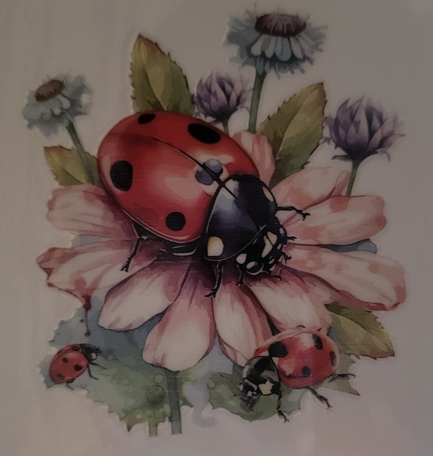 Floral Ladybug small decal