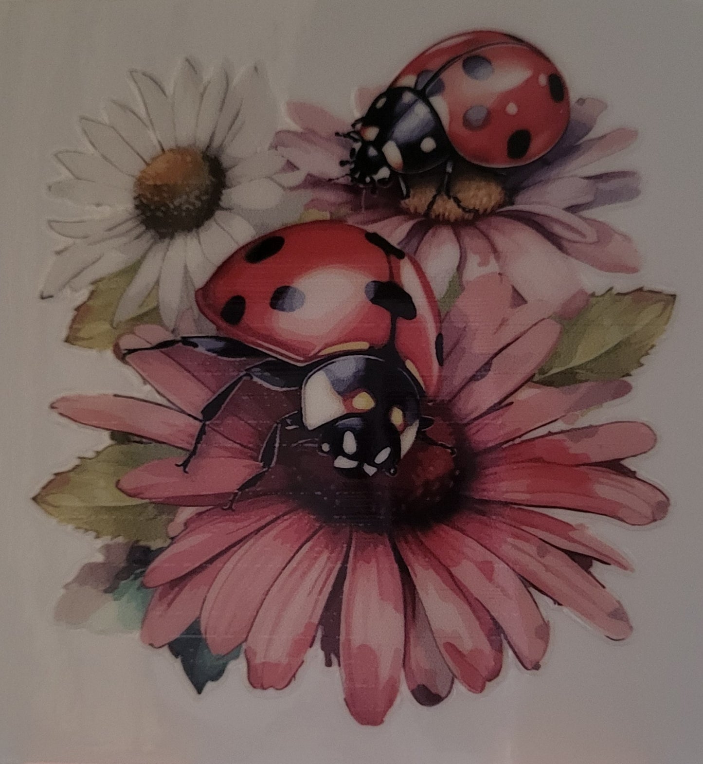 Floral Ladybugs decal small