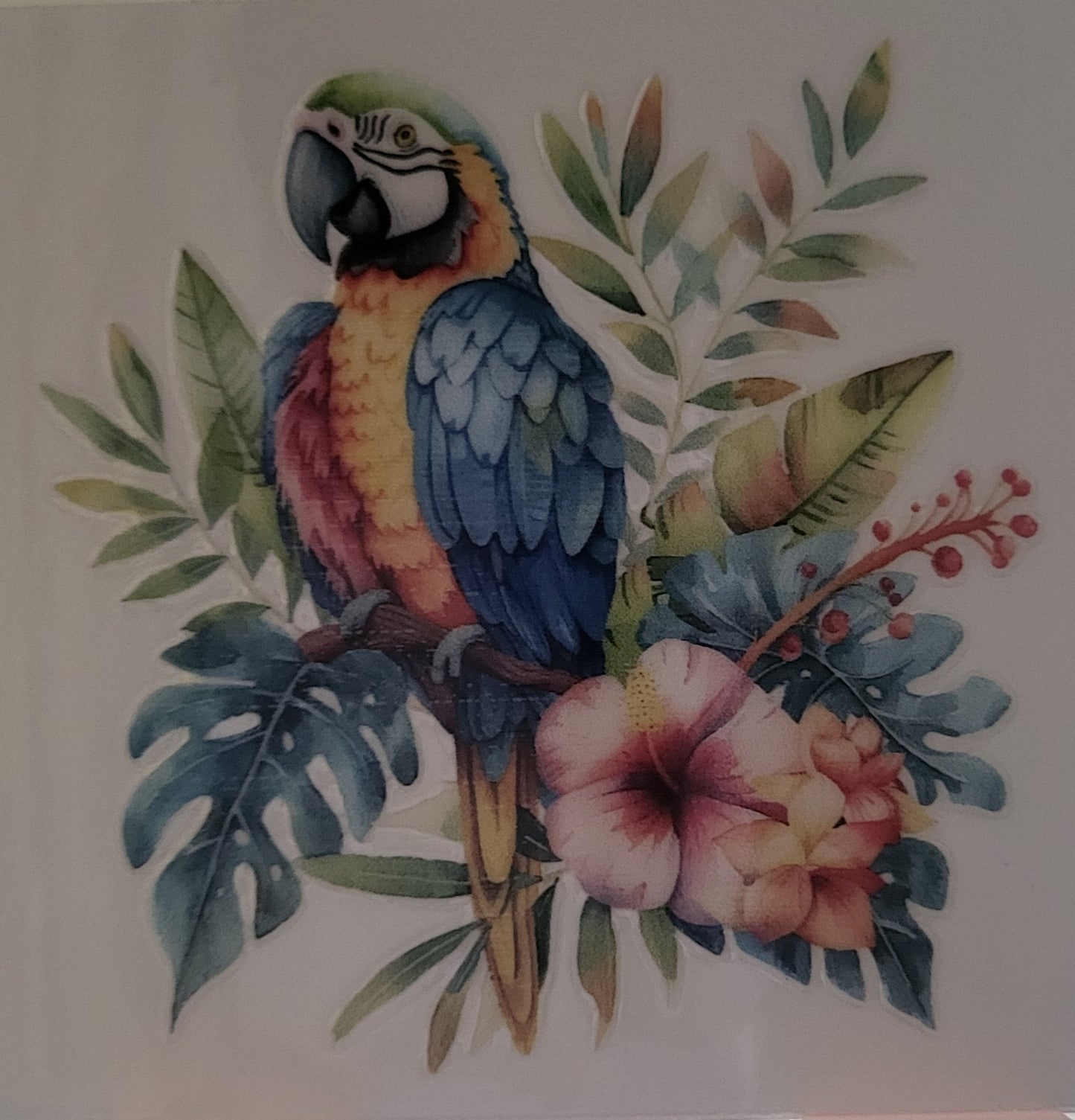 Floral Macaw decal small #2