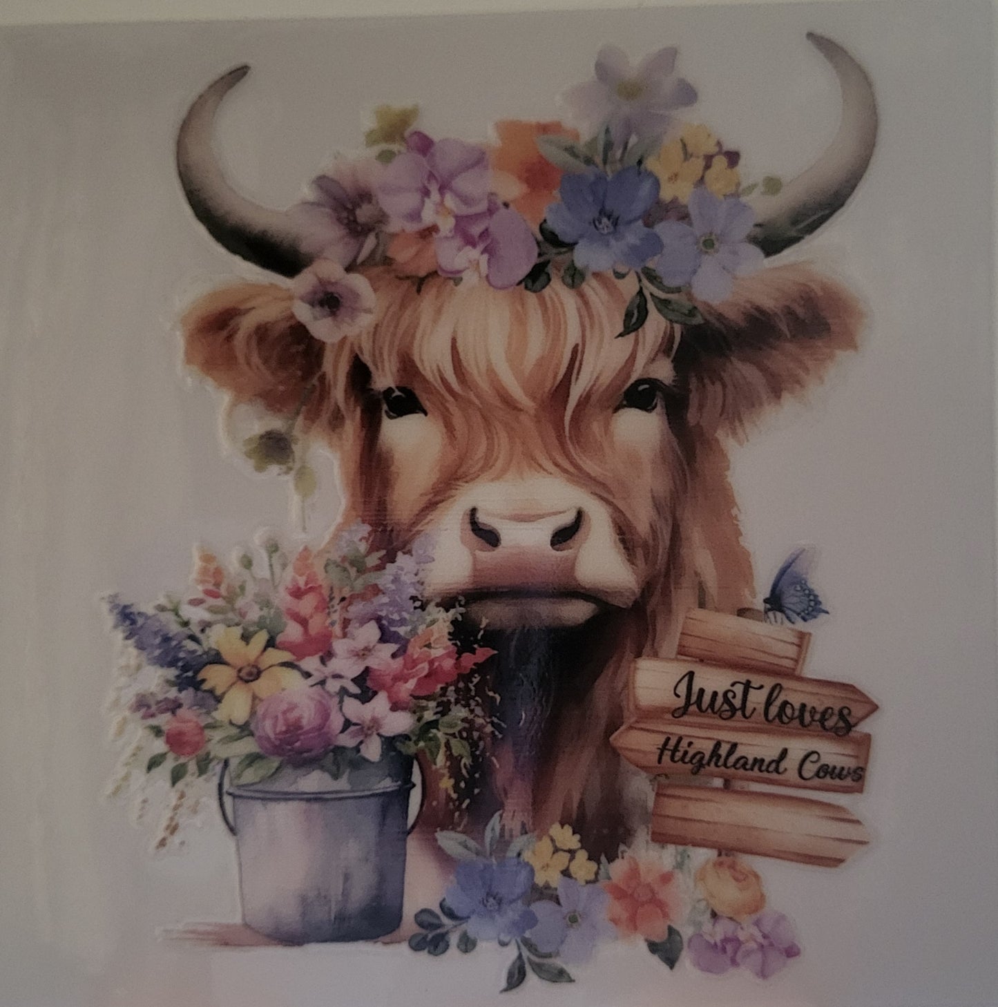 Highland Cow decal small #3