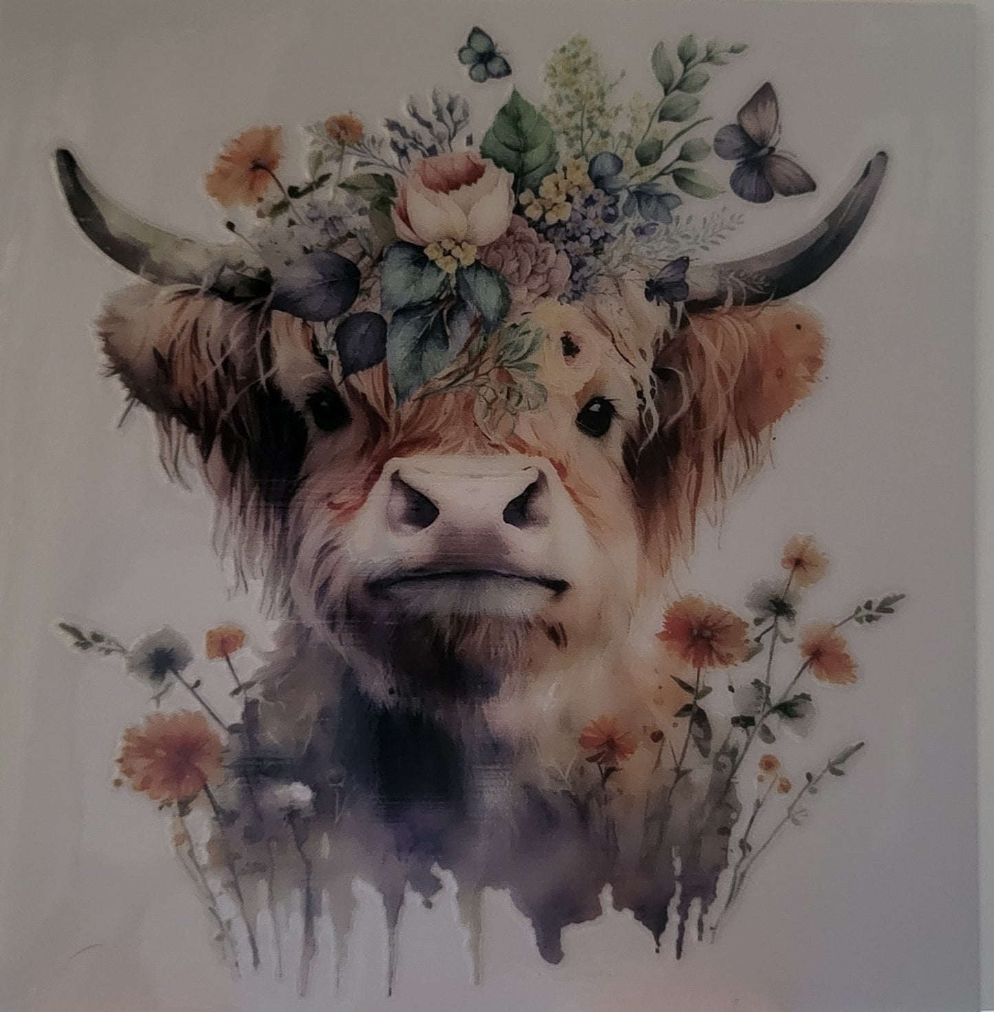 Highland Cow decal small #4