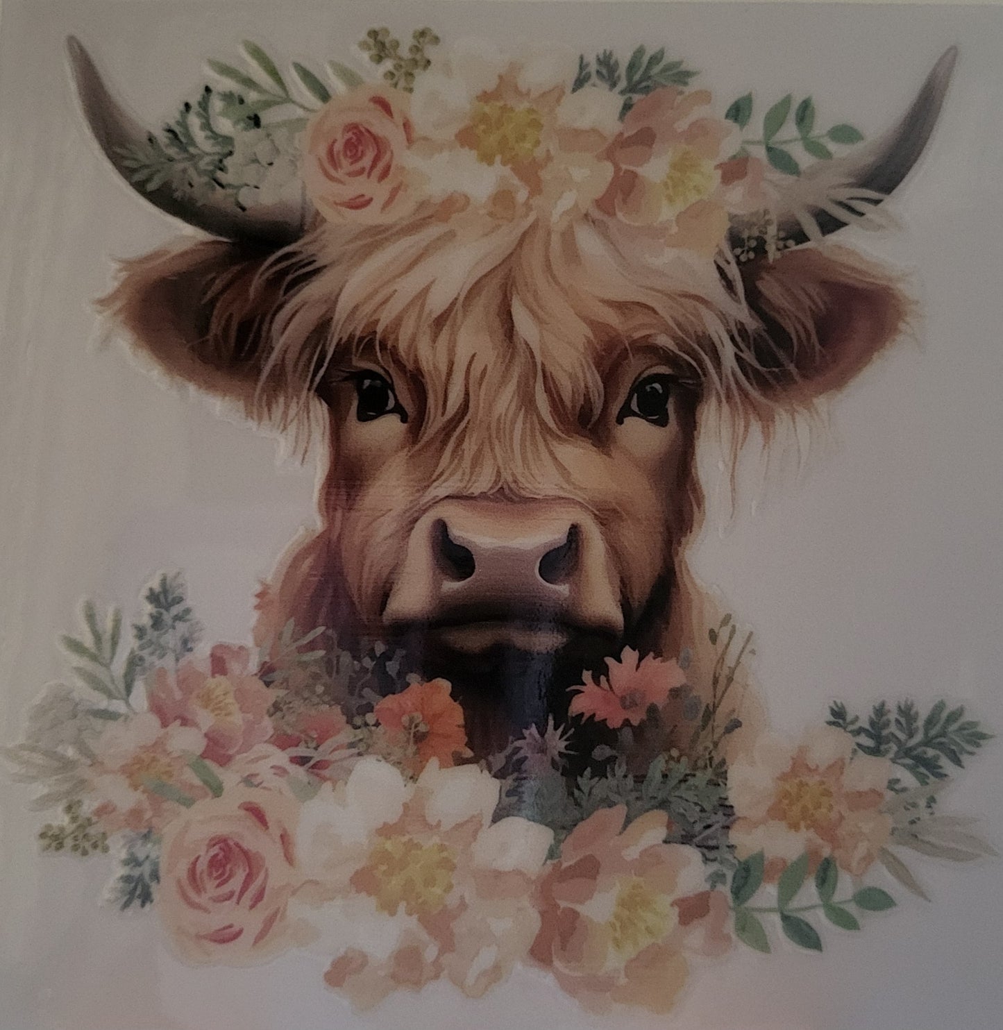 Highland Cow decal small #5