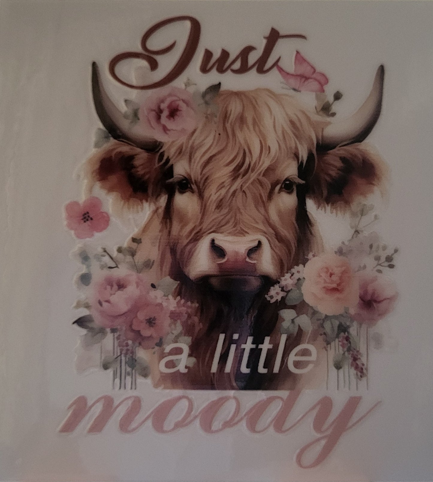 Highland Cow decal small #6