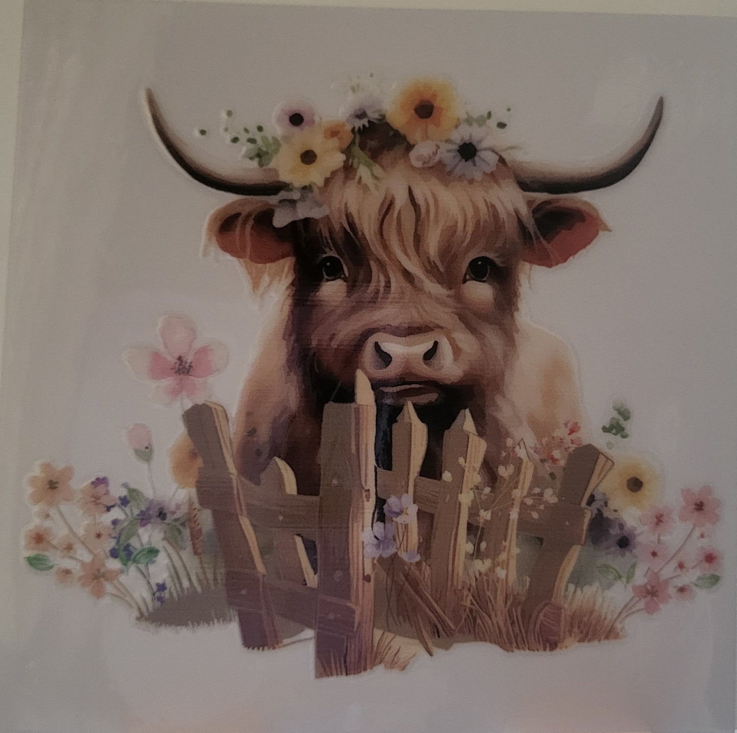 Highland Cow decal small #9
