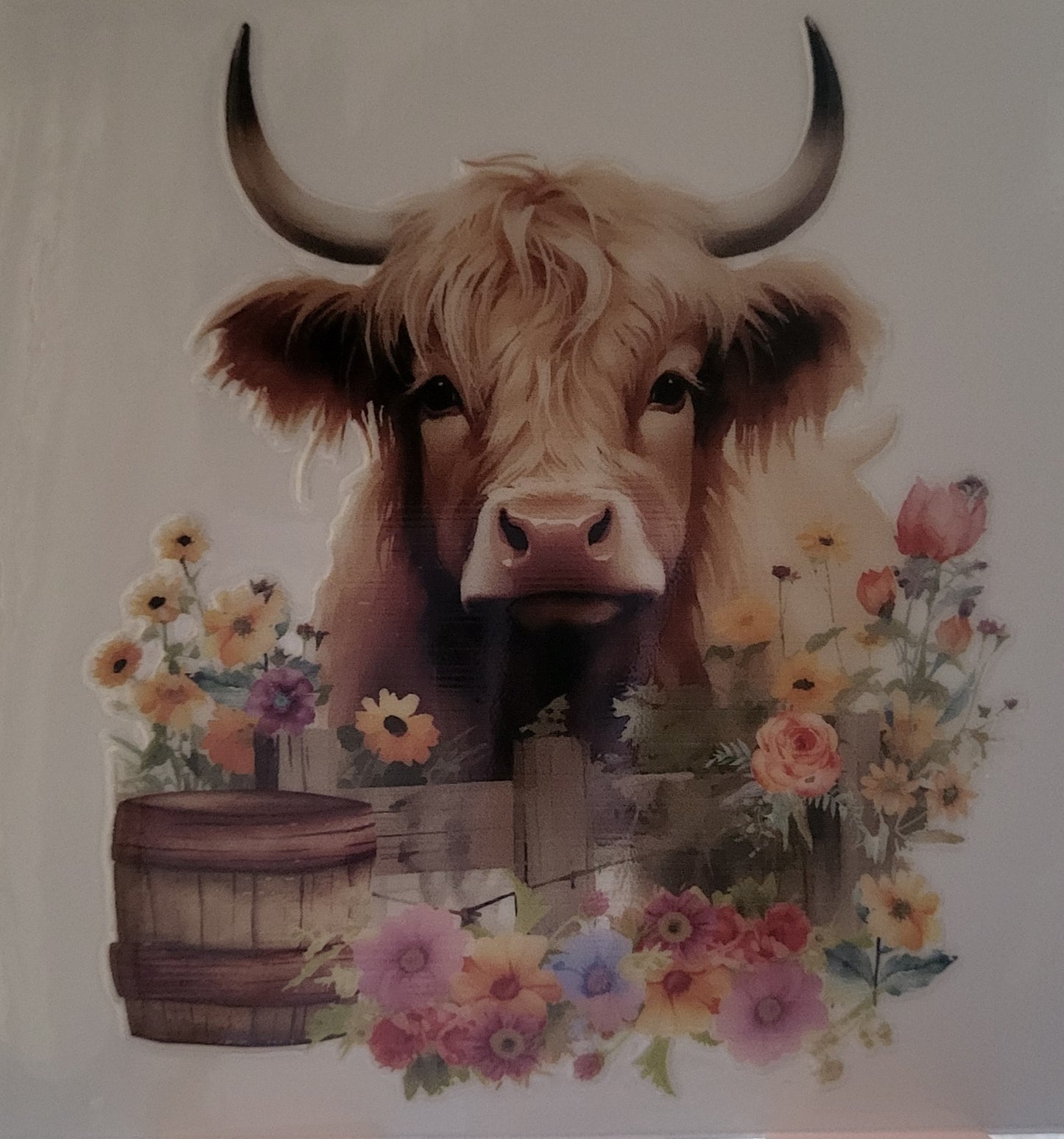 Highland Cow decal small #12