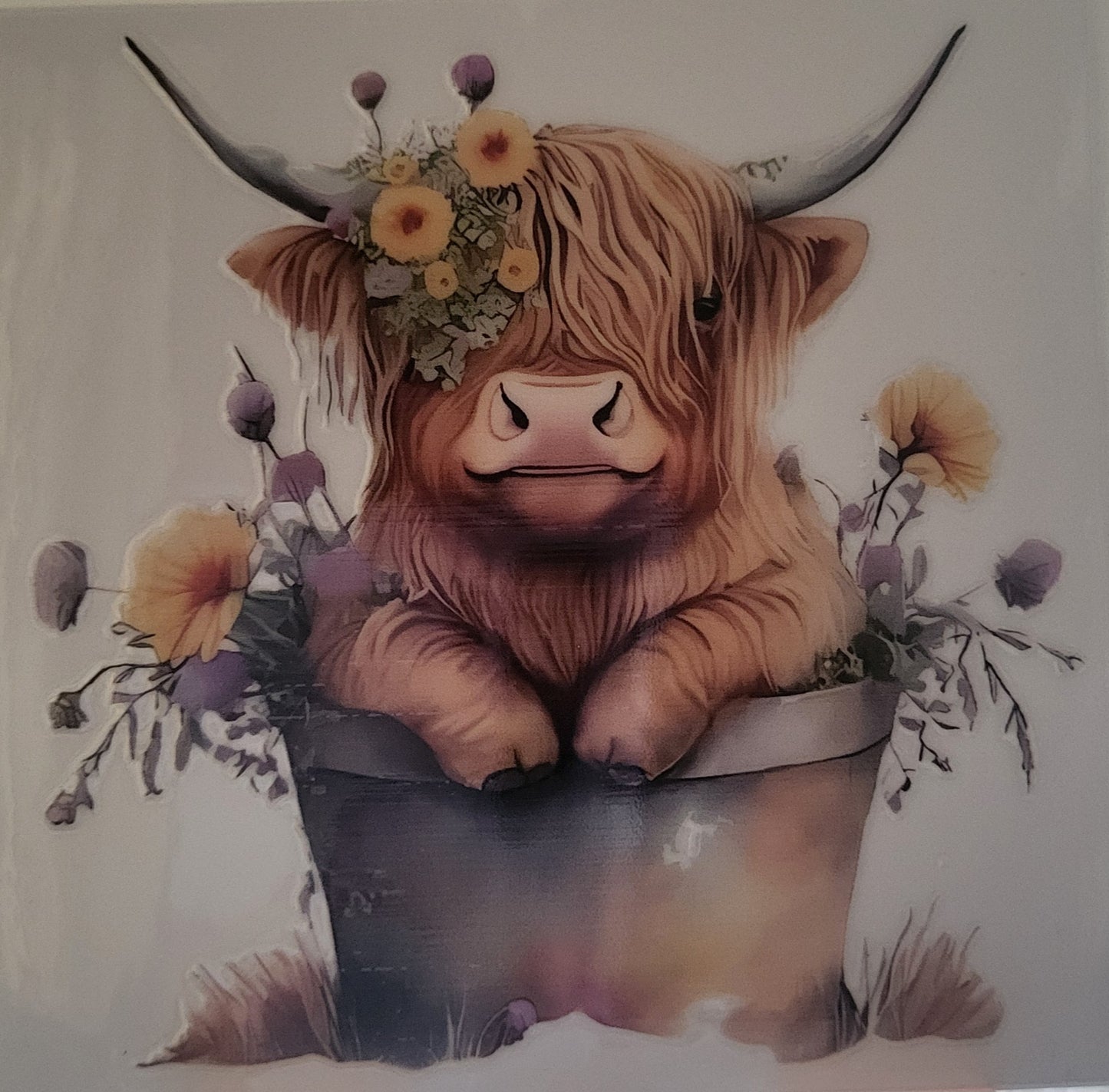Highland Cow decal small #14