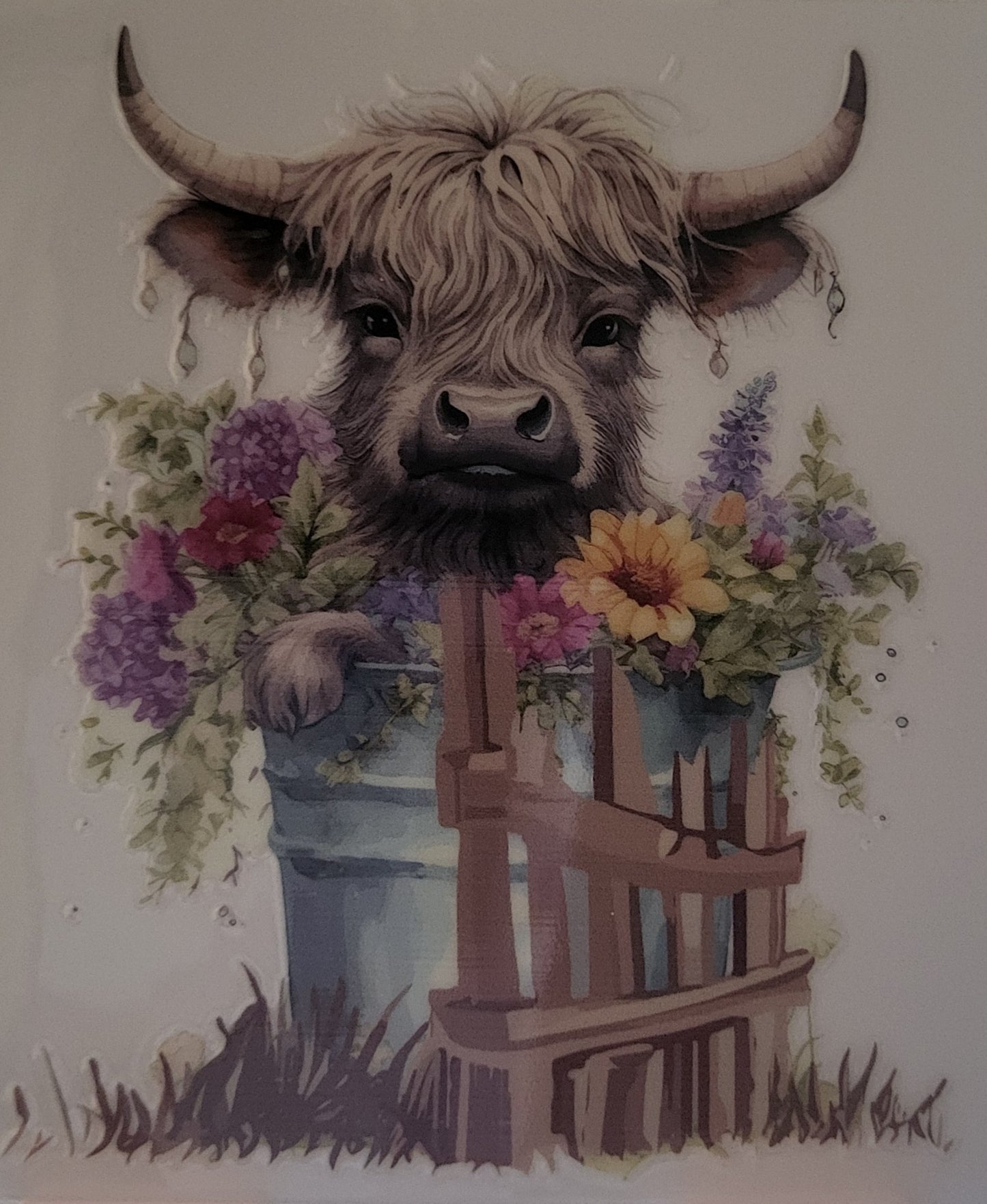Highland Cow decal small #18