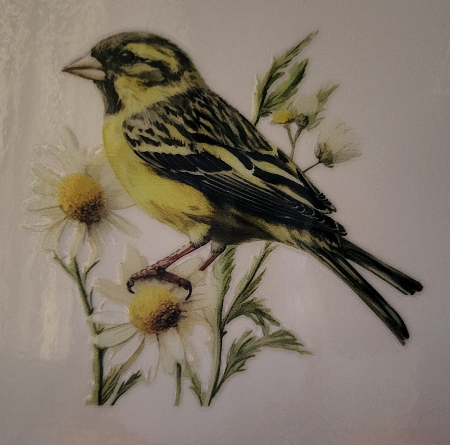 Bird on flowers decal small #8