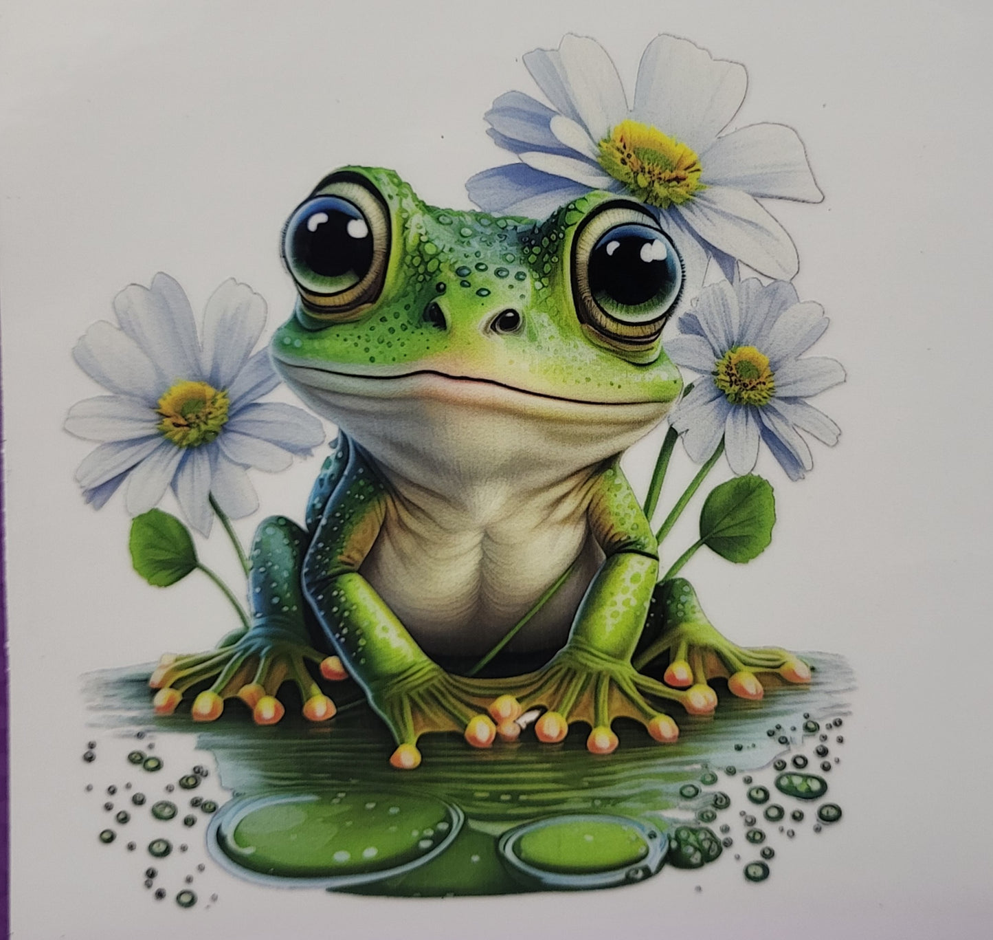 Lily pad Froggie