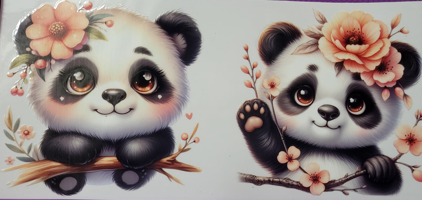 Baby Pandas 1