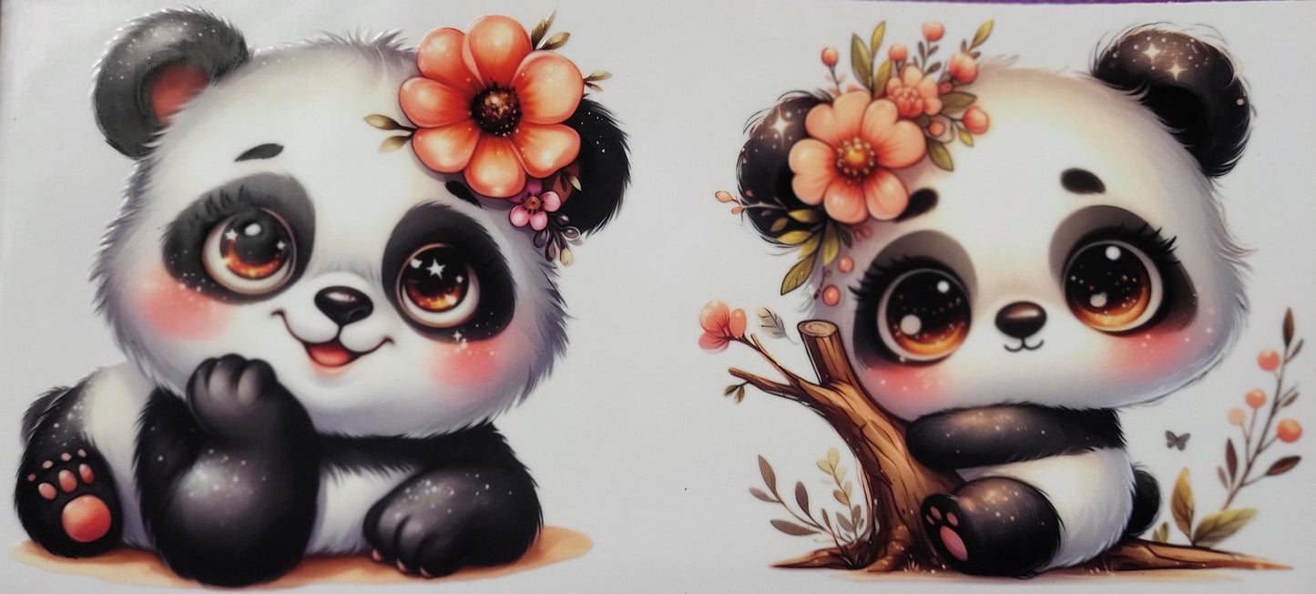 Baby Pandas 4