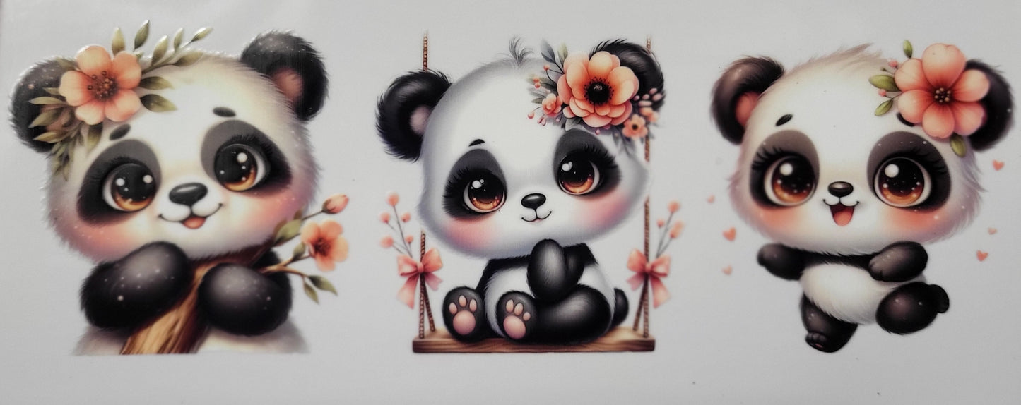 Baby Pandas 5