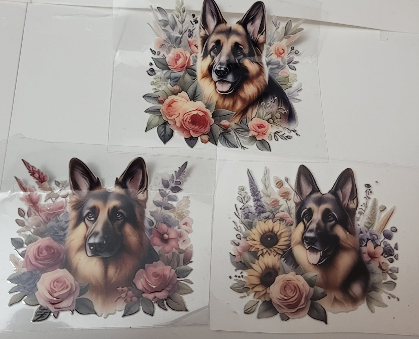 Tiny German Shepherd