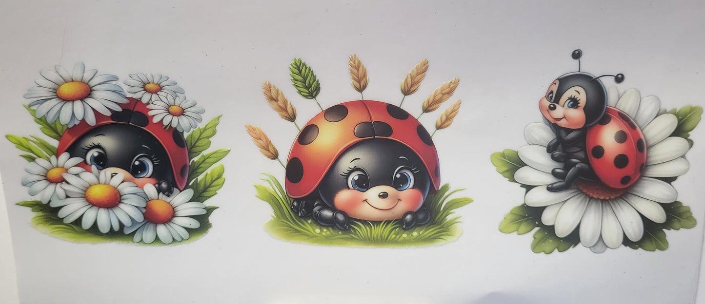 Ladybugs 1