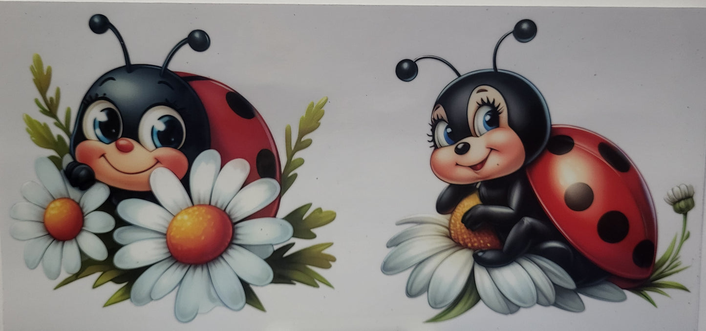 Ladybugs 3