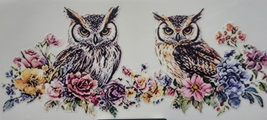 Baby Owls 1