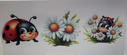 Ladybugs 2