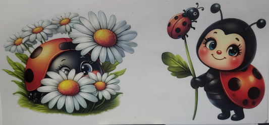 Ladybugs 4