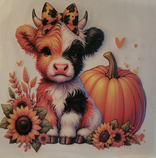 Pumpkin heifer decal small